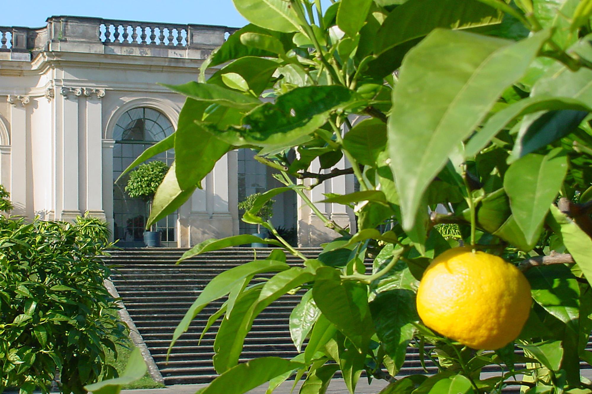 Barockgarten Grosssedlitz (c) www.schloesserlan-sachsen.de