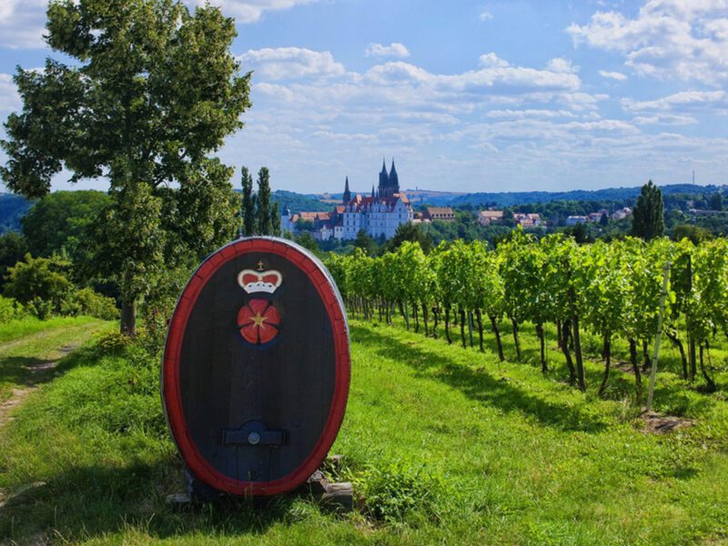 Weingut Schloss Proschwitz mit Blick auf Albrechtsburg Meißen, (c) Schlösserland Sachsen, Dittrich