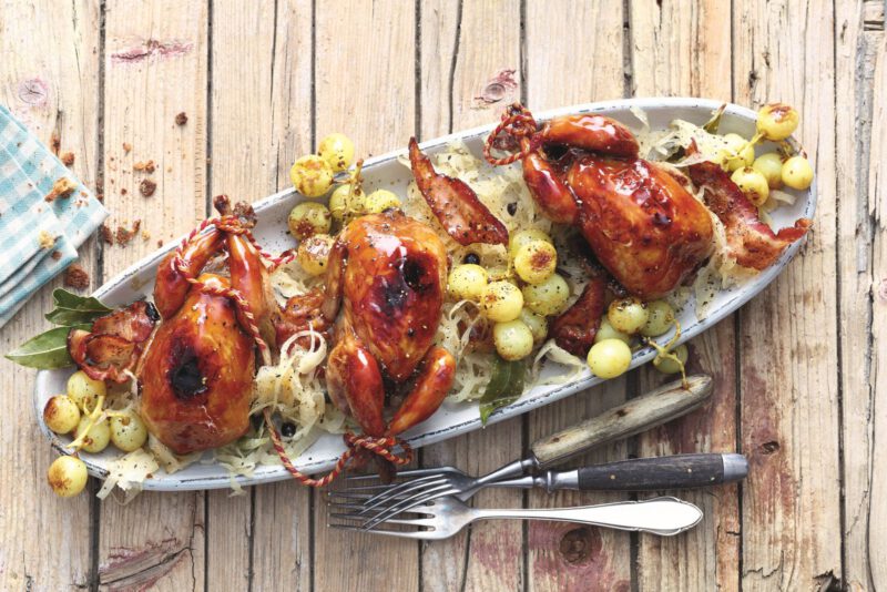 Foto Täubchen auf Rieslingkraut, (c) Foto Matthias Neubauer