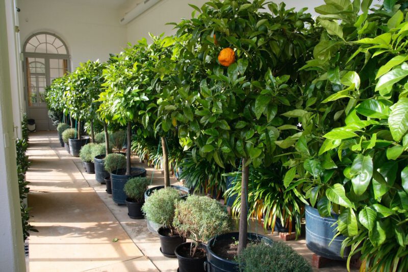 Marmorsaal in Schloss Weissenstein, Pommersfelden, (c) Sylvia Hubele