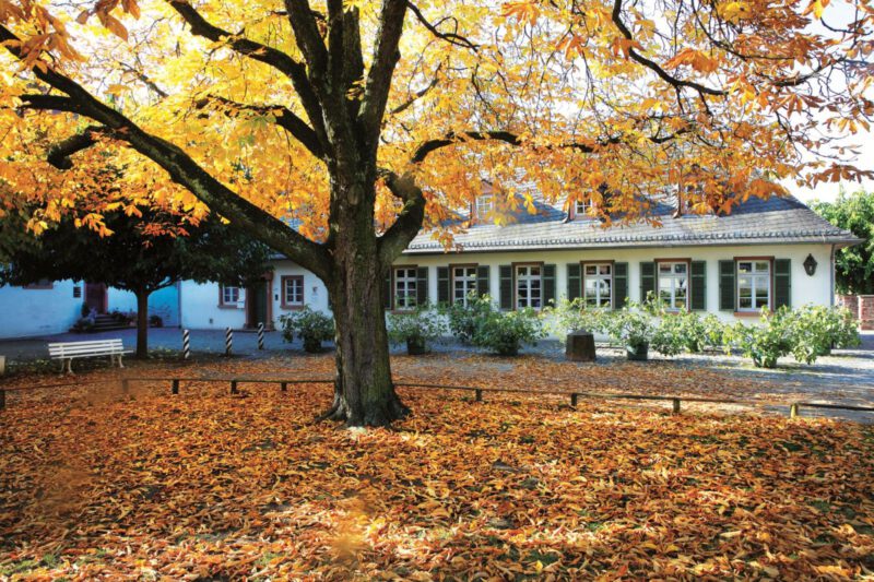 Wirtschaftshof Kloster Seligenstadt im Herbst, (c) Foto Matthias Neubauer