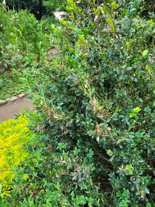 Marmorsaal in Schloss Weissenstein, Pommersfelden, (c) Sylvia Hubele