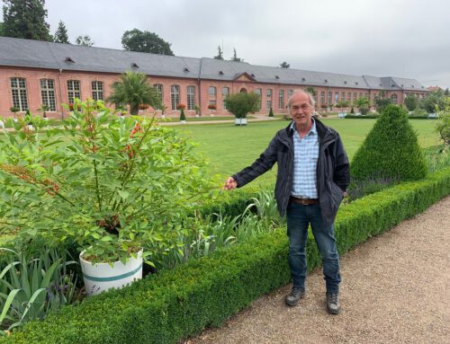 Gewachsene Strukturen