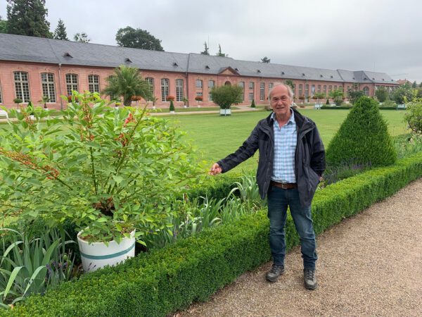 Helmut Krupp, Gartenmeister im Schlosspark von Schwetzingen, Foto: SSG Baden-Württemberg, Schloss Schwetzingen