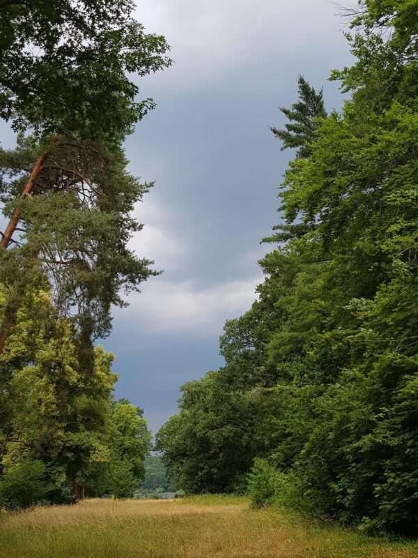 Gewitterwolken über der Pfaueninsel (c) Andrea Hahn | Text & Presse